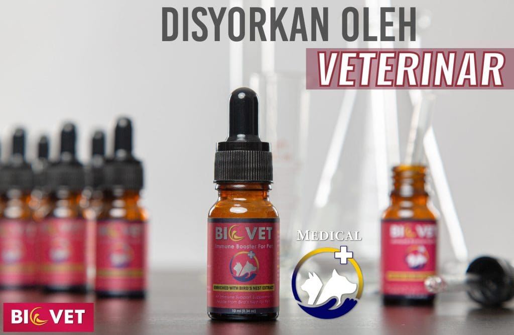 Supplement Kucing Terbaik